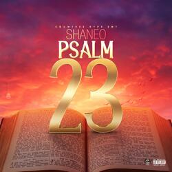 Psalms 23