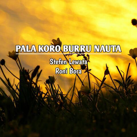 PALA KORO BURRU NAUTA