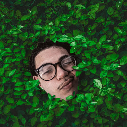 Chá Matt