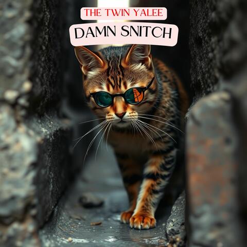 Damn Snitch