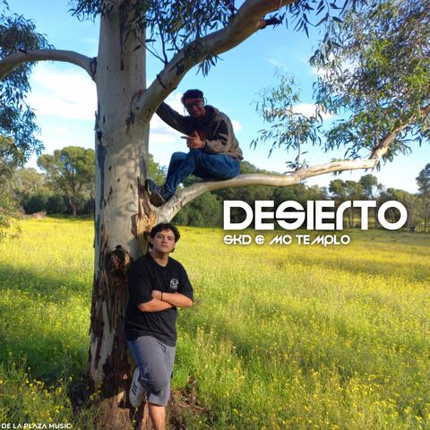 Desierto