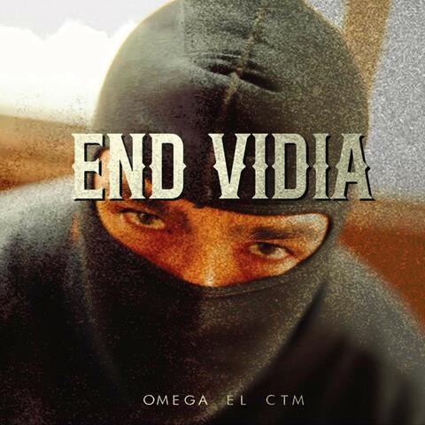 End Vidia