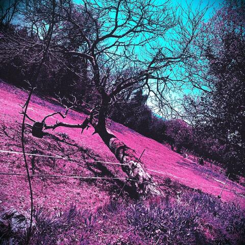 I'm Still Stuck in the Darker Days