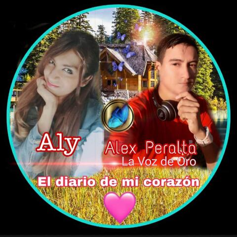 El Diario de Mi Corazón