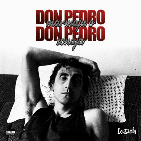 Don Pedro Marmaja o Don Pedro Sonaja