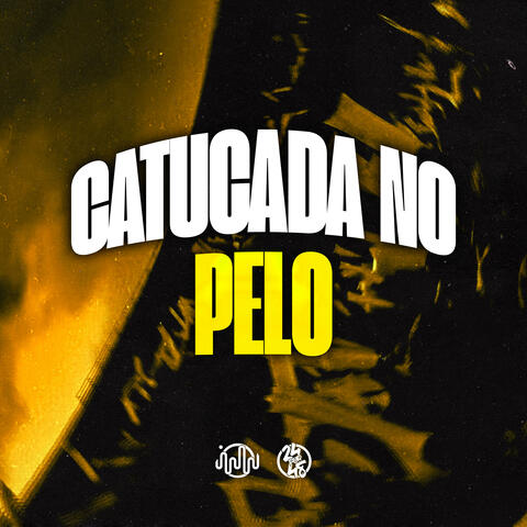 Catucada no Pelo