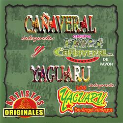 Conga y Timbal