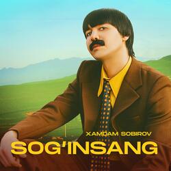 Sog’insang