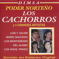 Limosnero de Tu Amor