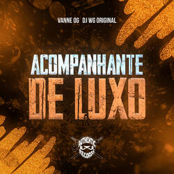 Acompanhante de Luxo