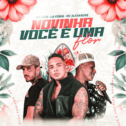 Novinha Você É uma Flor - Pagodão