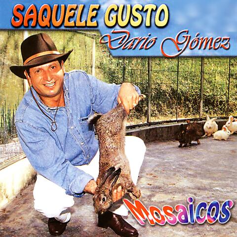Sáquele Gusto