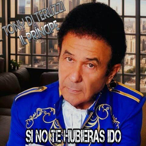 Si No Te Hubieras Ido