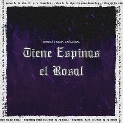 Tiene Espinas el Rosal