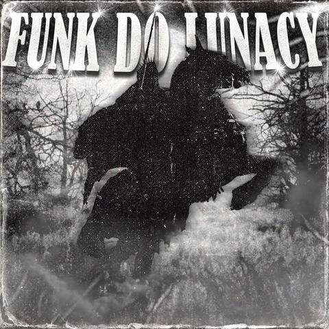 Funk do Lunacy