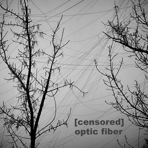 Optic Fiber