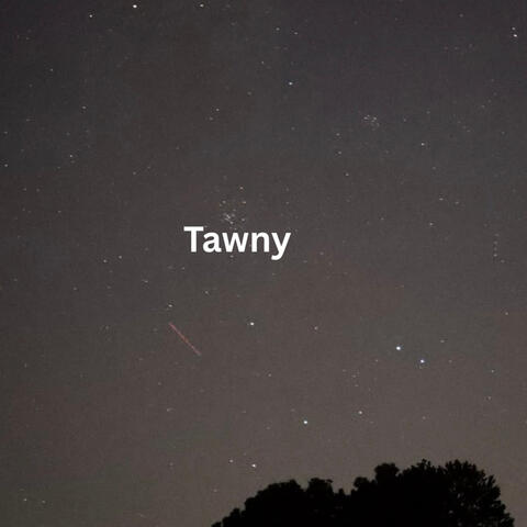 Tawny
