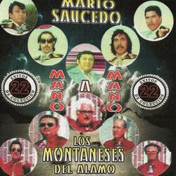 Este Arbolito