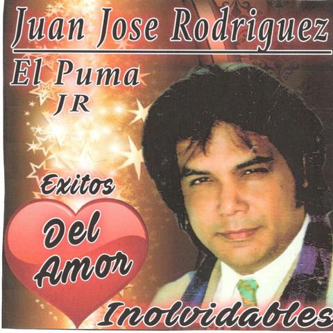Éxitos del Amor Involvidables