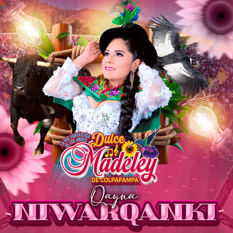 Qayna Niwarqanki