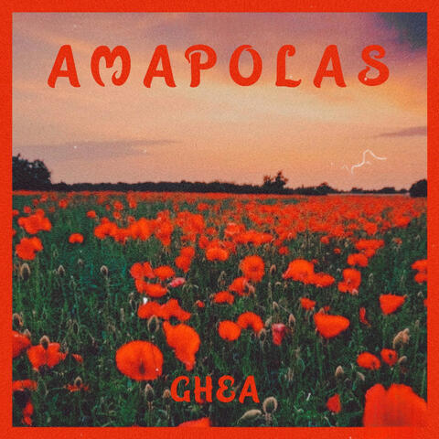 Amapolas