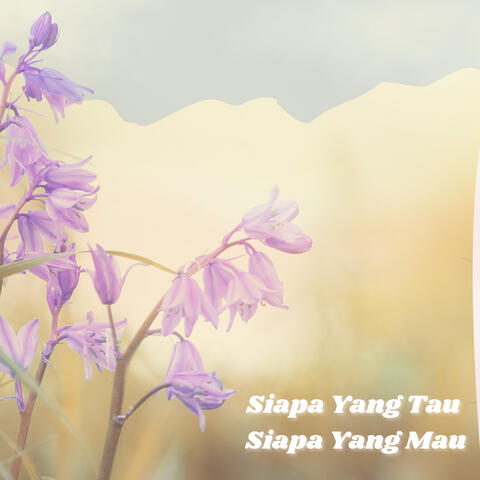 Siapa Yang Tau Siapa Yang Mau