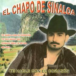 Se Acabó el Amor