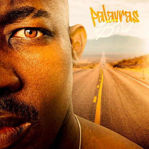 Palavras