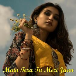 Main Tera Tu Meri Jaan