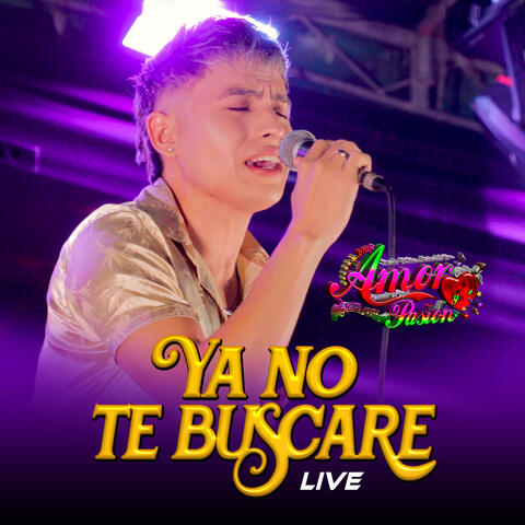 Ya No Te Buscare
