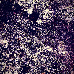 Morte no Beco (Reprise)