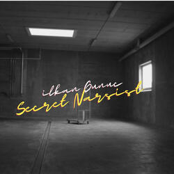 Secret Narsist