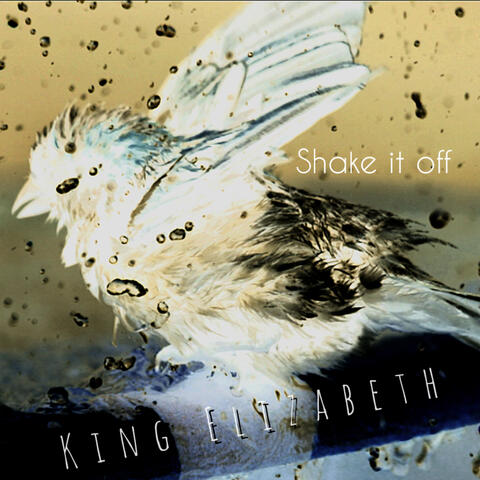 Shake It Off