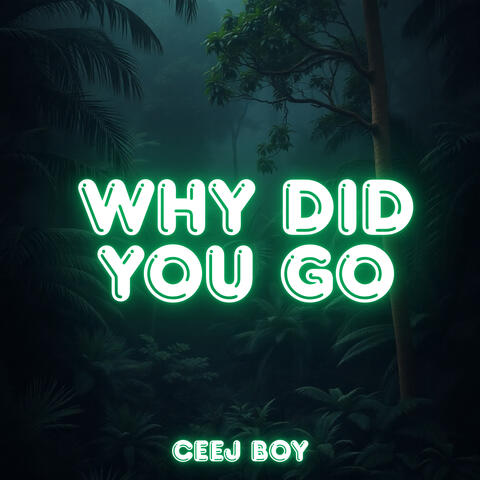 Why Did You Go