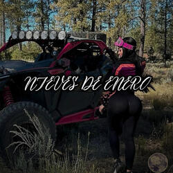 Nieves de Enero