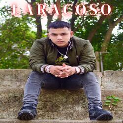 Laracoso