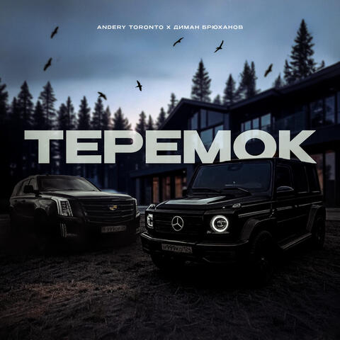 ТЕРЕМОК