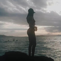 Tataia