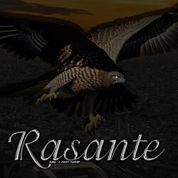 Rasante