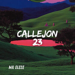 Callejon 23