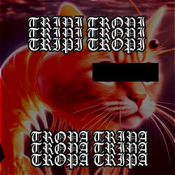 Tripi Tropi Tropa Tripa Phonk