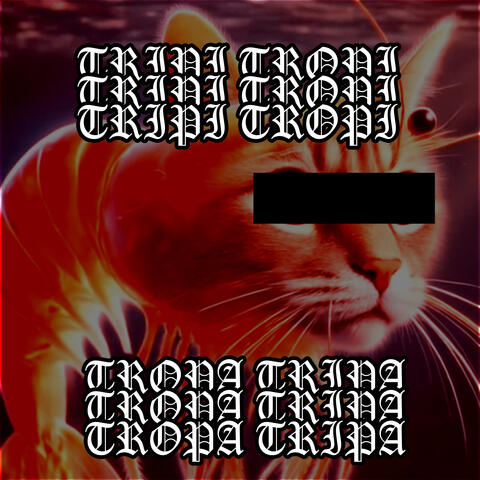 Tripi Tropi Tropa Tripa Phonk