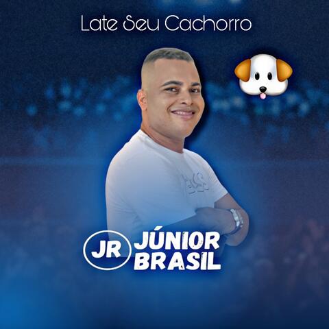 Late Seu Cachorro