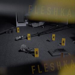 Fleshka
