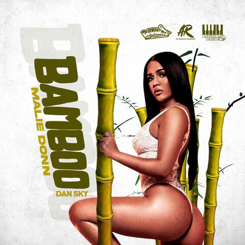Bamboo