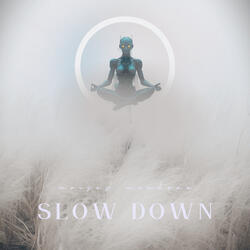Slow Down