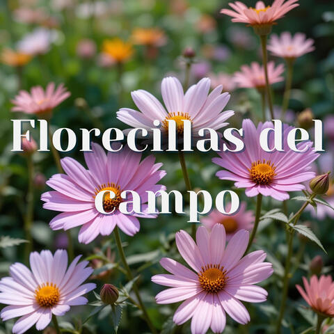 Florecillas del Campo