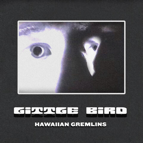 Little Bird