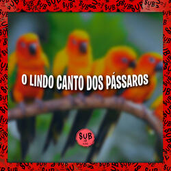O Lindo Canto dos Pássaros