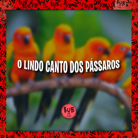 O Lindo Canto dos Pássaros